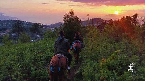Cavalcata al tramonto tra boschi e sentieri panoramici della Costiera Sorrentina, esperienza ideale per famiglie e amici