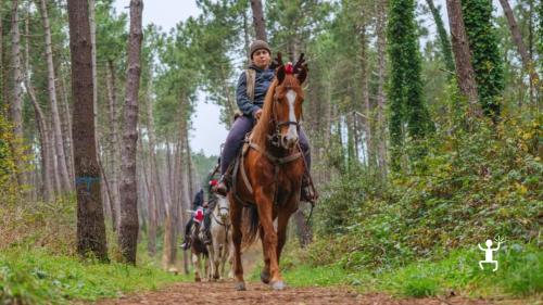 Esperienza a cavallo di Natale per coppie, famiglie e gruppi di amici nella Costiera Sorrentina, in Campania