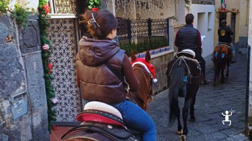 Passeggiata a cavallo per famiglie e coppie nella Pineta Le Tore di Sorrento, immersi nella natura sorrentina