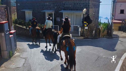 Percorso a cavallo tra borghi storici e panorami sul mare, autentica esperienza per famiglie e amici in Campania