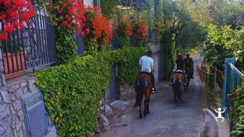Escursione panoramica a cavallo nella Costiera Sorrentina, esperienza autentica ideale per gruppi di amici