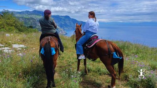 Passeggiata a cavallo nella natura sorrentina con viste su Ischia e Procida, esperienza ideale per famiglie