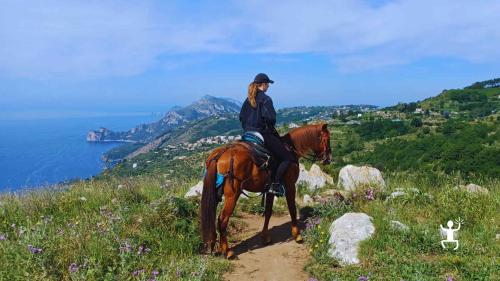 Escursione a cavallo tra colline e vigneti con vista sui Faraglioni di Capri, perfetta idea regalo
