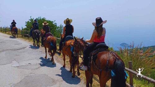 Cavalcata panoramica con soste fotografiche sui Faraglioni di Capri e Golfo di Napoli, esperienza per team building e amici