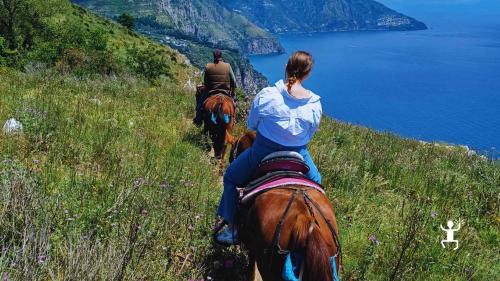 Cavalcata panoramica al promontorio con vista sulla Baia di Ieranto e Tre Pizzi, autentica esperienza per coppie