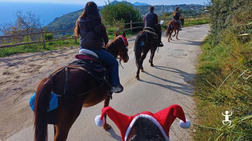 Escursione a cavallo di Natale per coppie e famiglie, in Costiera Sorrentina, ideale anche come idea regalo in Campania