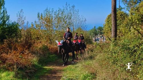 Escursione a cavallo per coppie e amici in Costiera Sorrentina tra mare e monti, con soste panoramiche e vista su Capri 