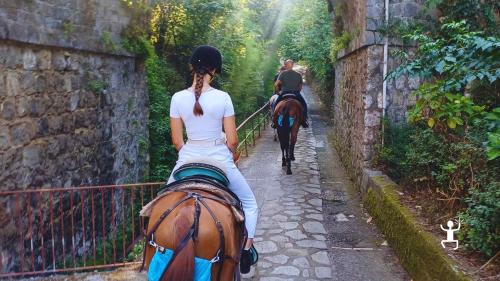 Esperienza a cavallo tra natura e uliveti a Sant’Agata sui Due Golfi, autentica esperienza per coppie e amici