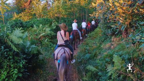 Passeggiata a cavallo sul Pizzitiello con viste su Capri, Positano e Costiera Amalfitana, esperienza ideale per gruppi