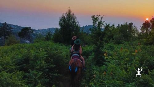 Passeggiata a cavallo al tramonto tra i paesaggi di Massa Lubrense, esperienza ideale per famiglie in Campania