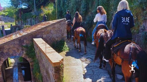 Tour a cavallo al promontorio del Pizzitiello con viste su Positano e Costiera Amalfitana, esperienza per team building