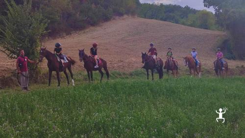 Tour a cavallo panoramico nelle Marche con guida certificata e percorsi suggestivi – adatta famiglie e bambini