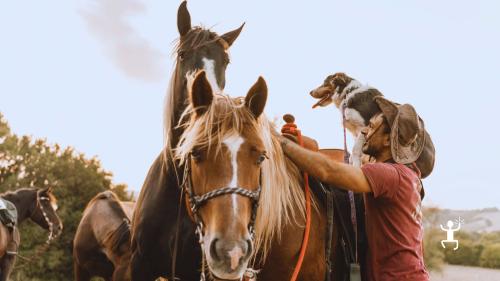 Passeggiata a cavallo con guida certificata nelle Marche, tra boschi e vallate autentiche del Montefeltro, adatta a gruppi