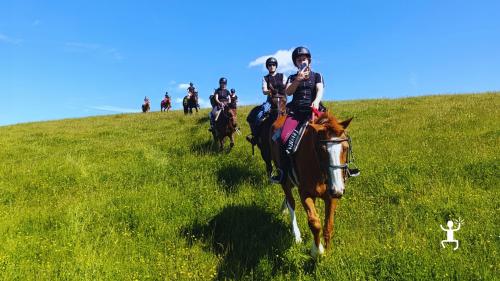 Esperienza a cavallo nella Riserva Naturale della Gola del Furlo, tra storia e natura autentica delle Marche, consigliata per team building