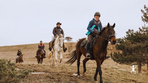 Tour a cavallo nelle Marche con guida esperta, panorami unici e percorsi autentici nel cuore del Montefeltro – ottima idea regalo