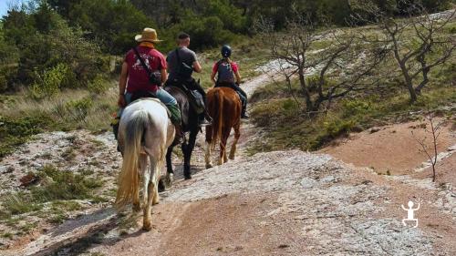 Esperienza a cavallo tra Urbino e la Gola del Furlo, tra paesaggi naturali e colline rinascimentali, adatta a coppie