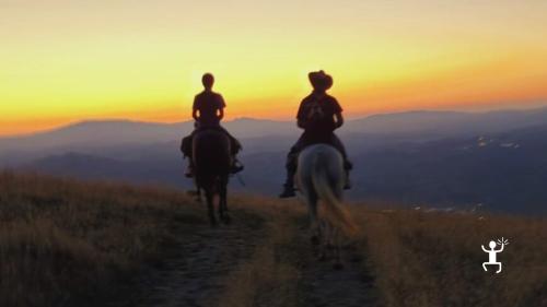 Tour a cavallo nelle Marche con scorci storici e natura selvaggia, un’avventura indimenticabile nel Montefeltro, per addii al celibato