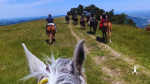 Tour a cavallo tra Monte Pietrasanta e Monte Paganuccio, immersi nella natura selvaggia del Montefeltro, adatto a famiglie
