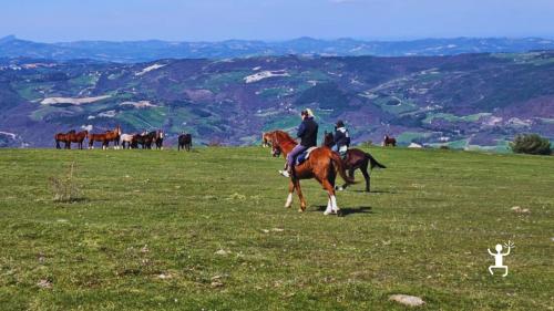 Escursione a cavallo tra torri medievali e paesaggi autentici delle Marche, guidata da accompagnatore esperto, per addii al celibato