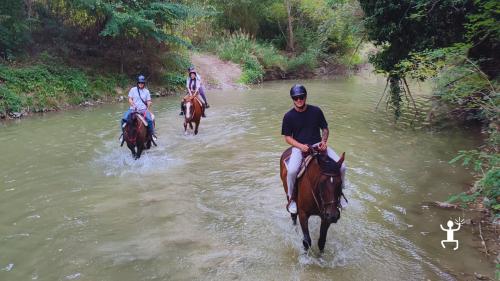 Esperienza a cavallo con vedute su Urbino, città rinascimentale patrimonio UNESCO, immersa nei colli marchigiani – per gruppi