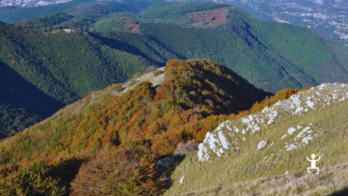 Escursione invernale al Pizzo San Michele con sentieri innevati e panorama sulle montagne campane, esperienza ideale per gruppi