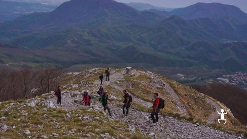 Sentiero immerso nella faggeta dei Monti Picentini che conduce al Pizzo San Michele, perfetto per escursioni tra amici