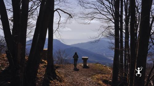 Cammino immerso nei boschi del Pizzo San Michele con vista sulla valle dell’Irno, attività perfetta per coppie e amici