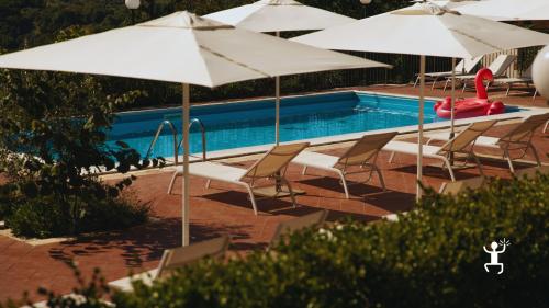 Pasta fresca e sapori contadini nel Beneventano, un’idea regalo autentica per chi ama la natura e le tradizioni