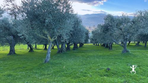 Esperienza autentica in azienda agricola con laboratorio di pasta, ideale per coppie e gruppi in Campania