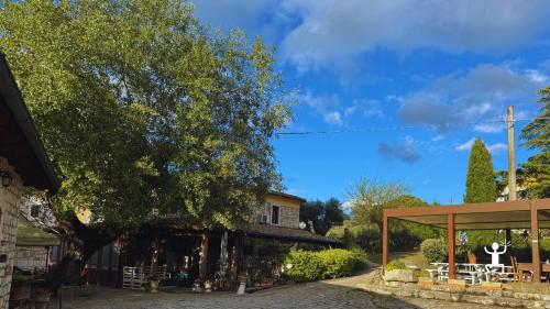 Esperienza in azienda agricola a Morcone tra uliveti, erbe e cucina tipica, ideale famiglie e team building