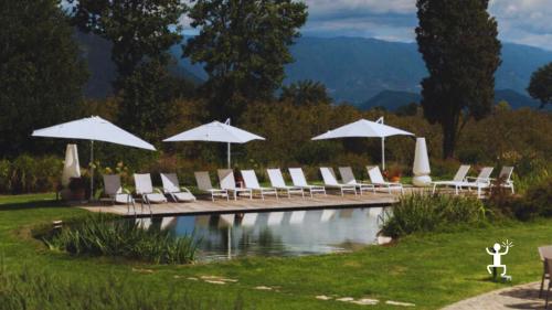 Biolago naturale del wine resort a Teano, un’oasi di relax tra vigneti e biodiversità in Campania, perfetta per coppie e gruppi