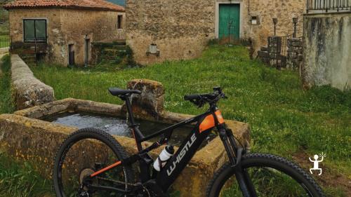 Padula in e-bike con noleggio incluso per coppie e gruppi alla scoperta del Parco del Cilento e delle sue meraviglie