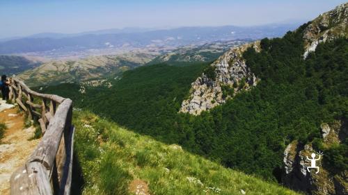 Esperienza di noleggio e-bike nel Vallo di Diano per gruppi e coppie alla ricerca di un’avventura autentica in Campania