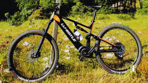 E-bike a noleggio nel cuore della Campania per coppie, team building e amici alla scoperta di arte e natura nel Cilento