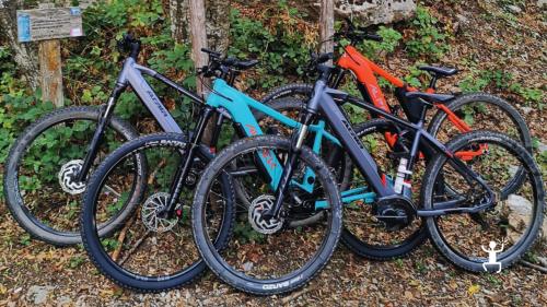 Noleggio e-bike tra Padula e Sanza per coppie e gruppi alla scoperta del Parco Nazionale del Cilento in Campania