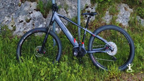 Noleggio e-bike a Padula nel Vallo di Diano perfetta per team building e giornata in famiglia nella natura campana