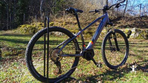 Noleggio e-bike nel Cilento tra borghi, natura e panorami unici, ideale per coppie in vacanza, gruppi e idee regalo