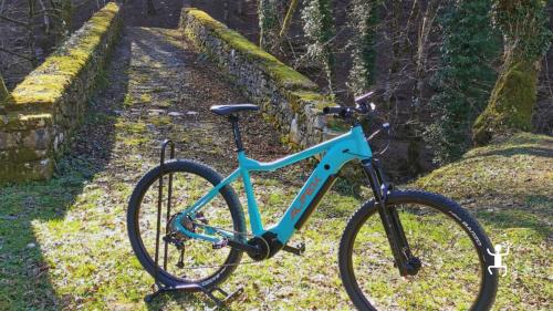 Esperienza di noleggio e-bike, ideale per gruppi nel Parco del Cilento e Vallo di Diano con percorsi personalizzati  