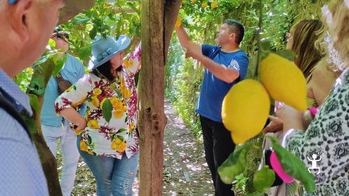 Itinerario privato in van tra Vietri sul Mare e Pompei, tra artigianato, storia e paesaggi della Campania