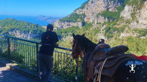 Passeggiata a cavallo panoramica tra i monti di Agerola, perfetta per famiglie e amanti della natura