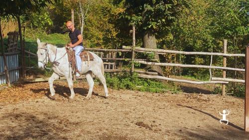 Passeggiata a cavallo tra i panorami di Agerola e i Monti Lattari, ideale per coppie e gruppi in Campania
