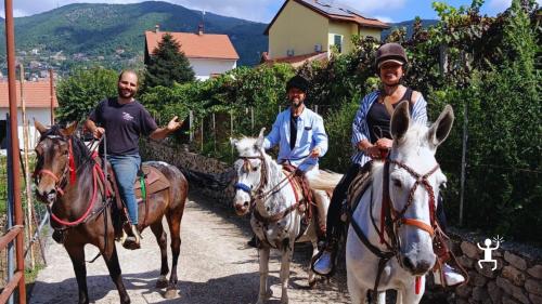 Escursione a cavallo tra i Monti Lattari ad Agerola, ideale per coppie e gruppi in Campania