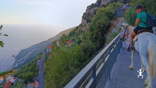 Passeggiata a cavallo con vista sulla Costiera Amalfitana, perfetta per team building e amici in Campania