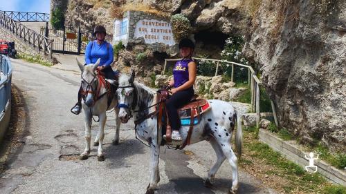 Tour a cavallo nel cuore verde della Campania, ideale per addii al celibato e nubilato