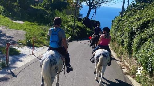 Passeggiata equestre con guida certificata ad Agerola, ideale per principianti, famiglie e gruppi