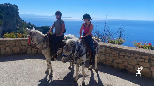 Tour a cavallo tra i sentieri panoramici dei Monti Lattari, perfetto per coppie, amici e famiglie in Campania
