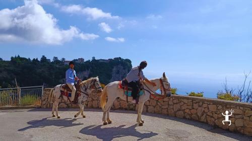 Esperienza autentica a cavallo tra mare e montagna ad Agerola, ideale come idea regalo in Campania