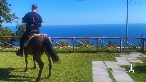 Escursione a cavallo nella natura della Costiera Amalfitana, perfetta per coppie e team aziendali