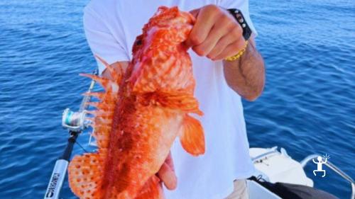 Esperienza di pesca sportiva da Miseno con angler professionista, ideale per gruppi, con possibilità di catturare tonno rosso e lampuga