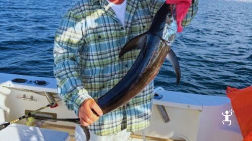 Uscita di pesca d’altura da Miseno nella costa flegrea, ideale per amici, con possibilità di catturare pesce spada 